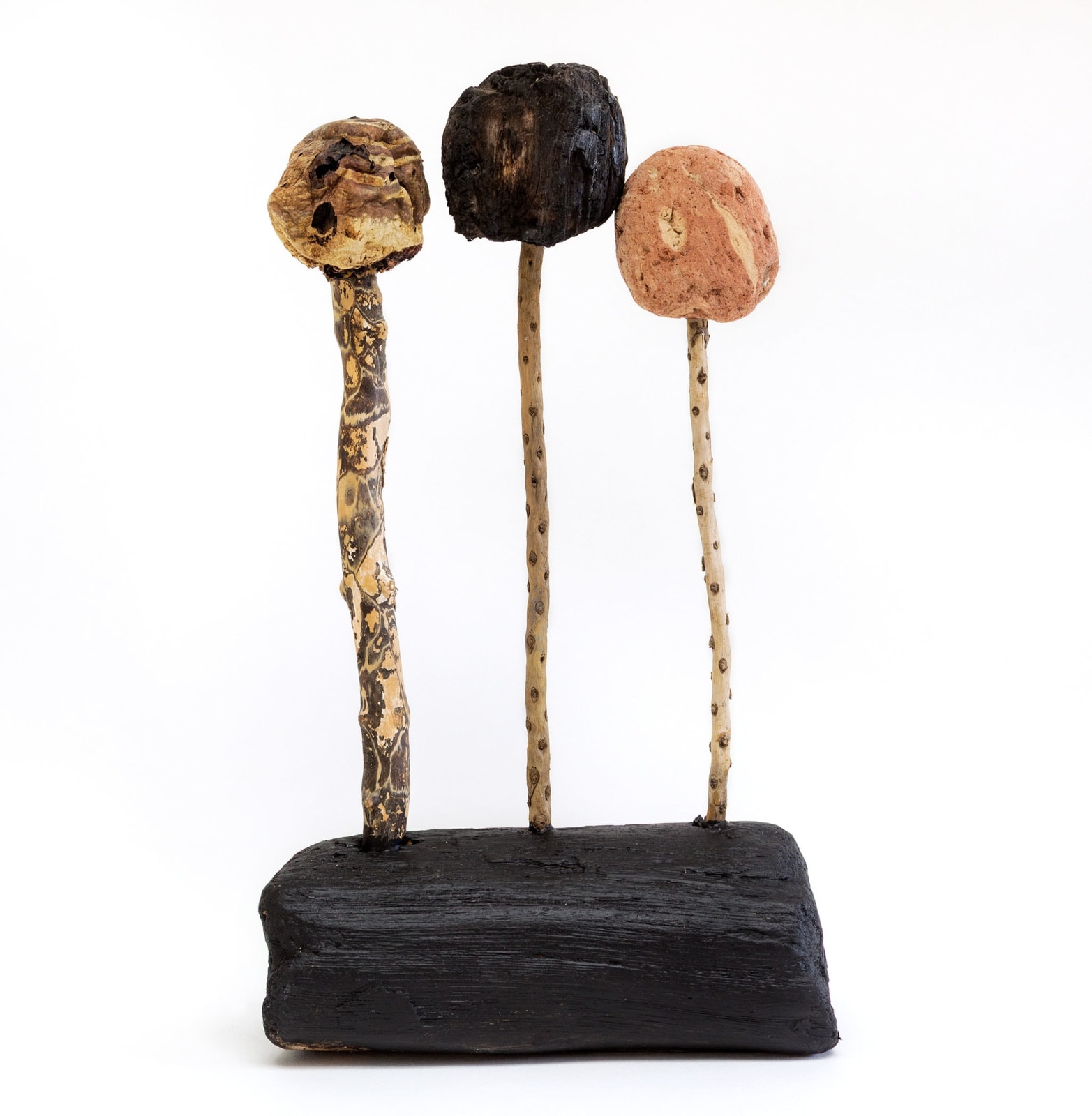 Brian Rice, Wobbly Knobbly, 2009
