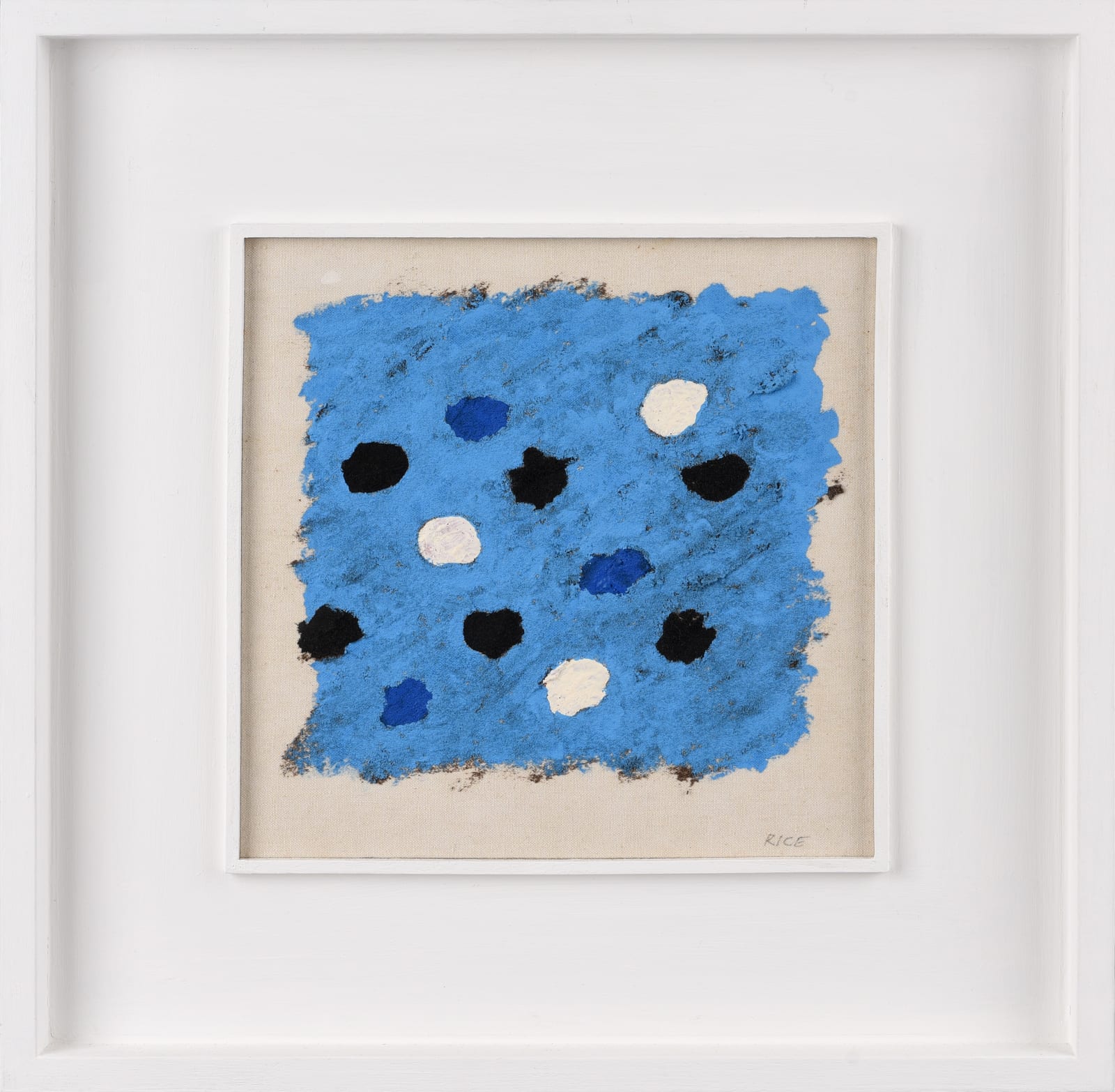 Brian Rice, Black and White on Blue, 2008