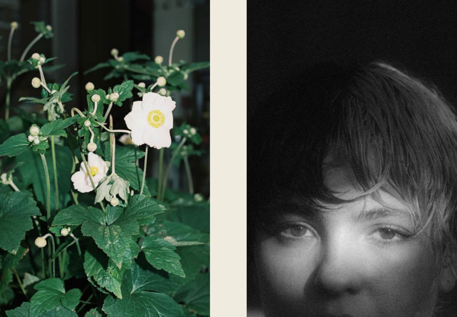 Mariana García, Sinergía, 2024