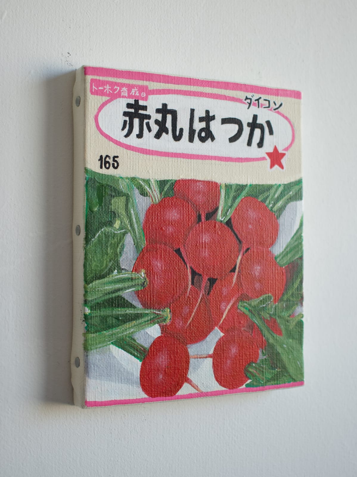 Renée Abaroa, シード 6, 2024