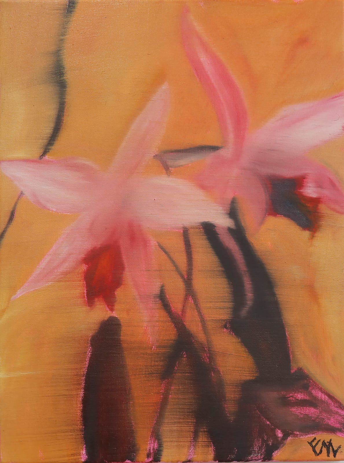 Frederik Nystrup-Larsen, Laelia Anceps (Mexico), 2025