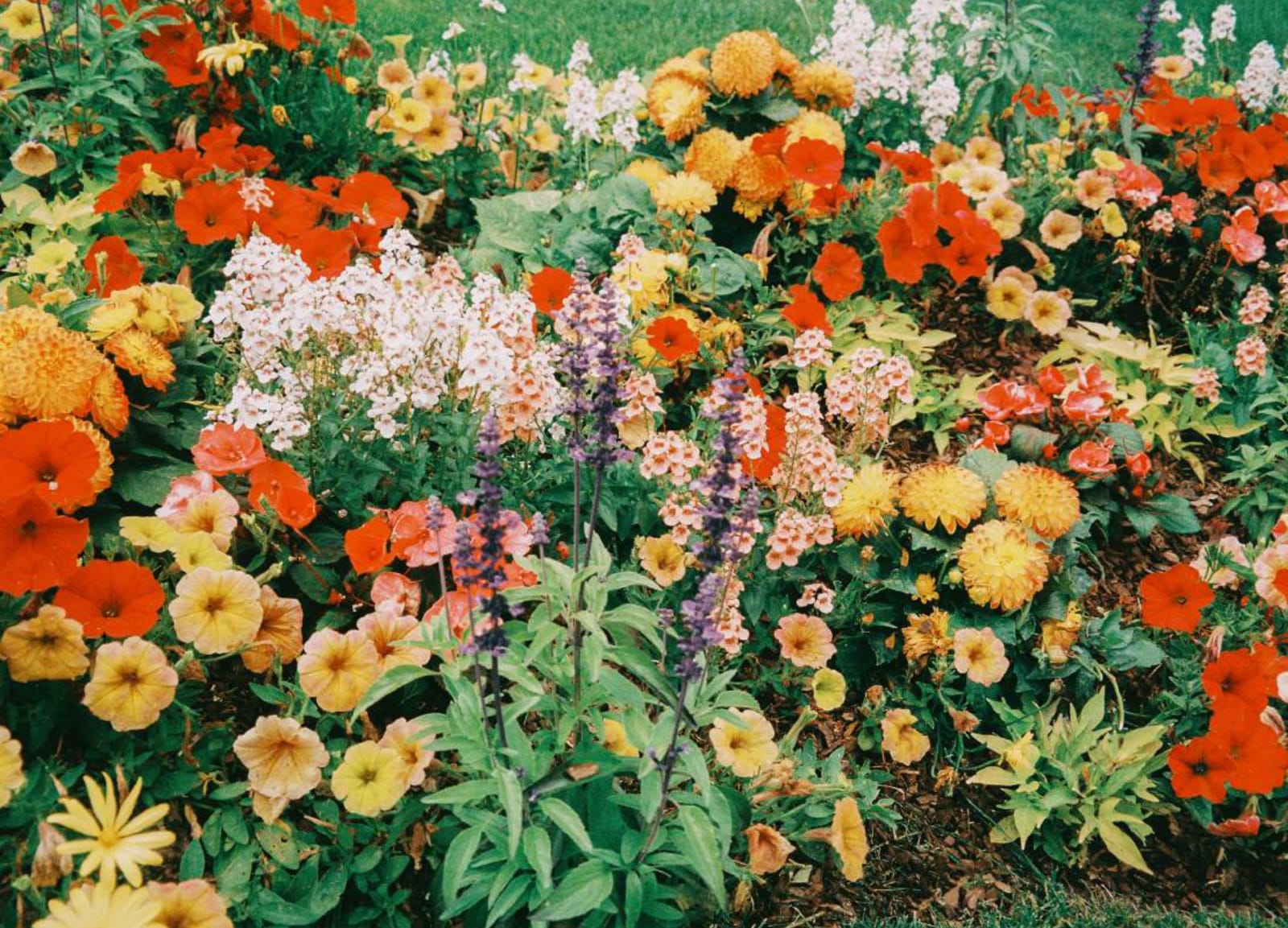 Mariana García, Eflorescencia, 2024