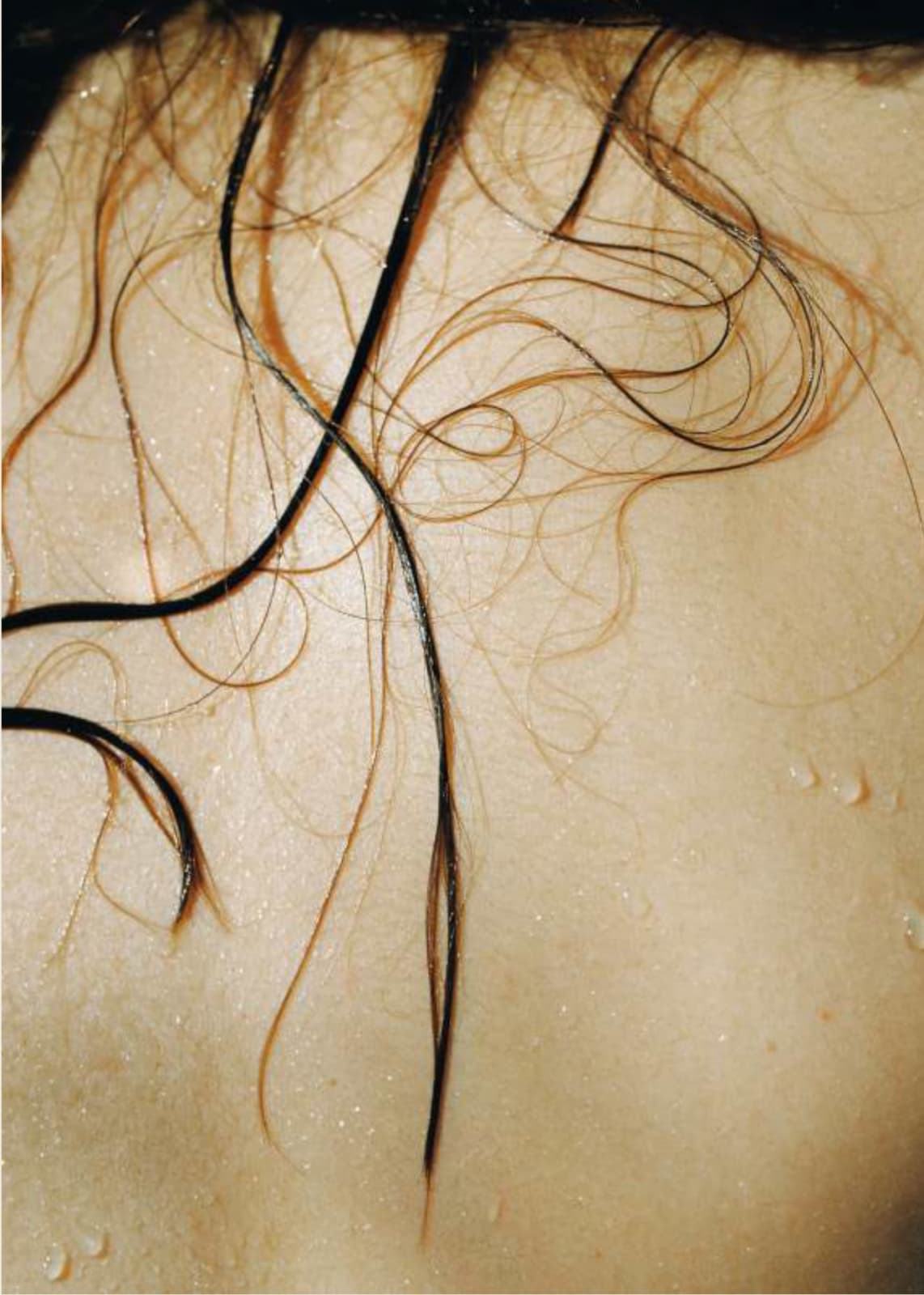 Mariana García, Multidimensional, 2023