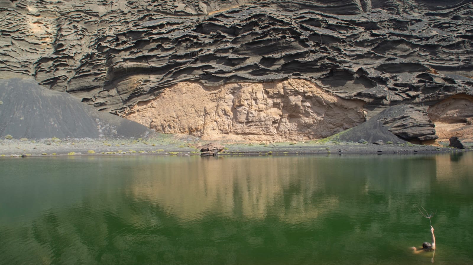 Ivy Lee, MAGNA MATER, 202