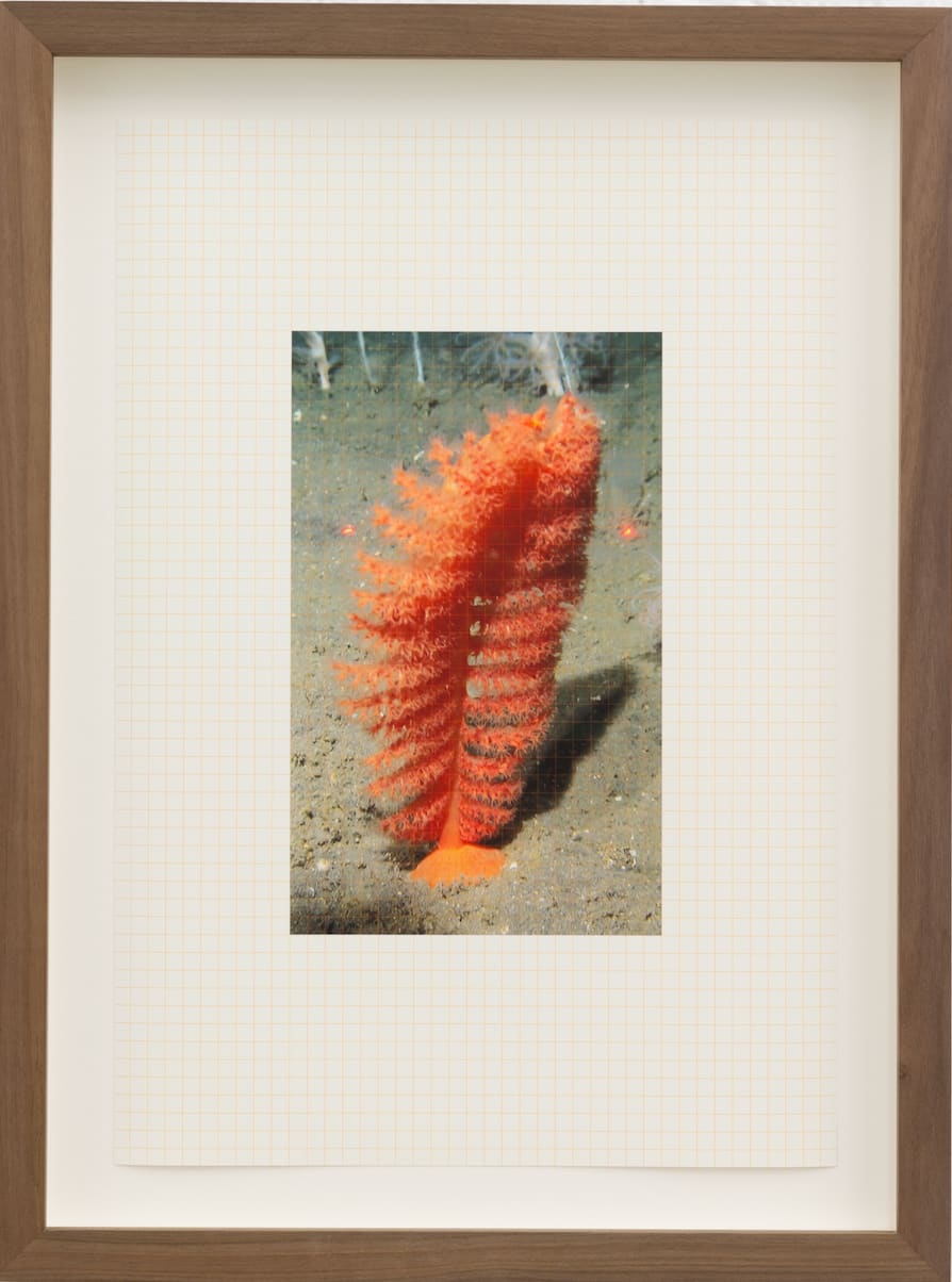 Anna Júlía Fridbjörnsdóttir, Ready to Wear, 2022