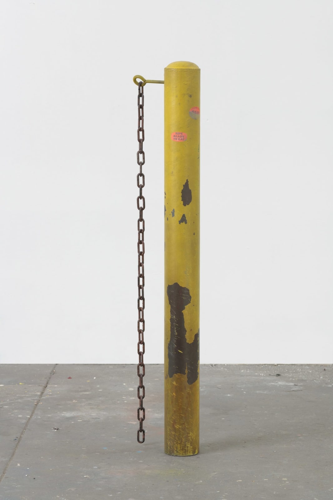 Sayre Gomez, District Manager, 2019