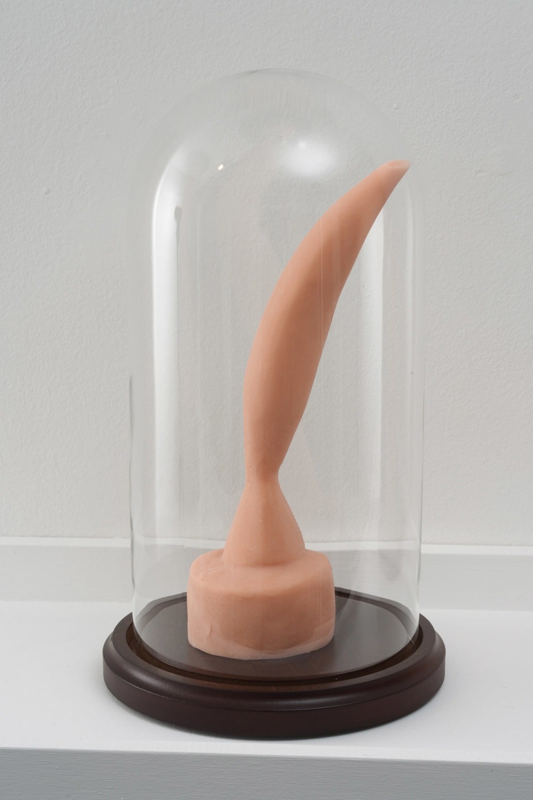 Candice Lin, Bird in space (pink, white, black), Queen Victoria (pink, white, black), Corn Hill (pink, white, black), 2012