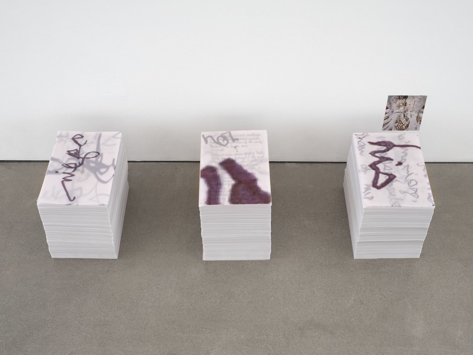 Mara Hassan, parliaments with tree on june 24, 2025, 2025