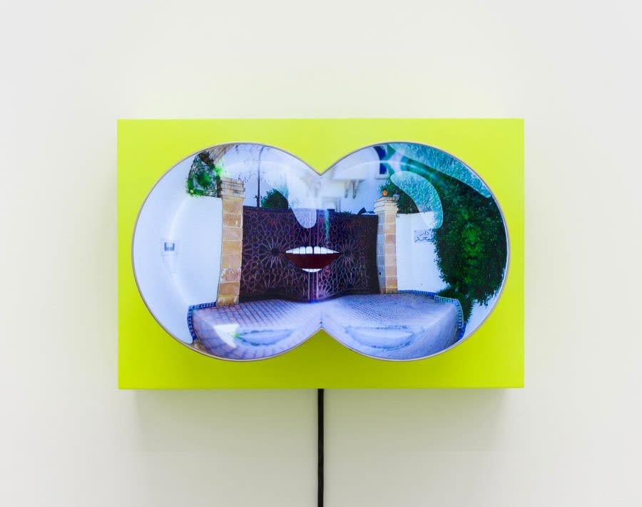 Meriem Bennani, Neighborhood Goggles, 2019