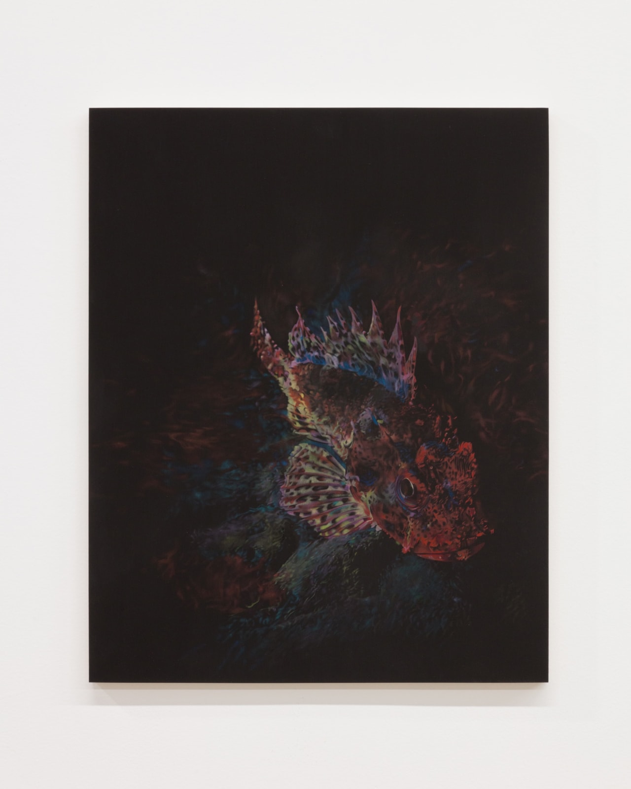 Becca Mann, California Scorpionfish, 2020