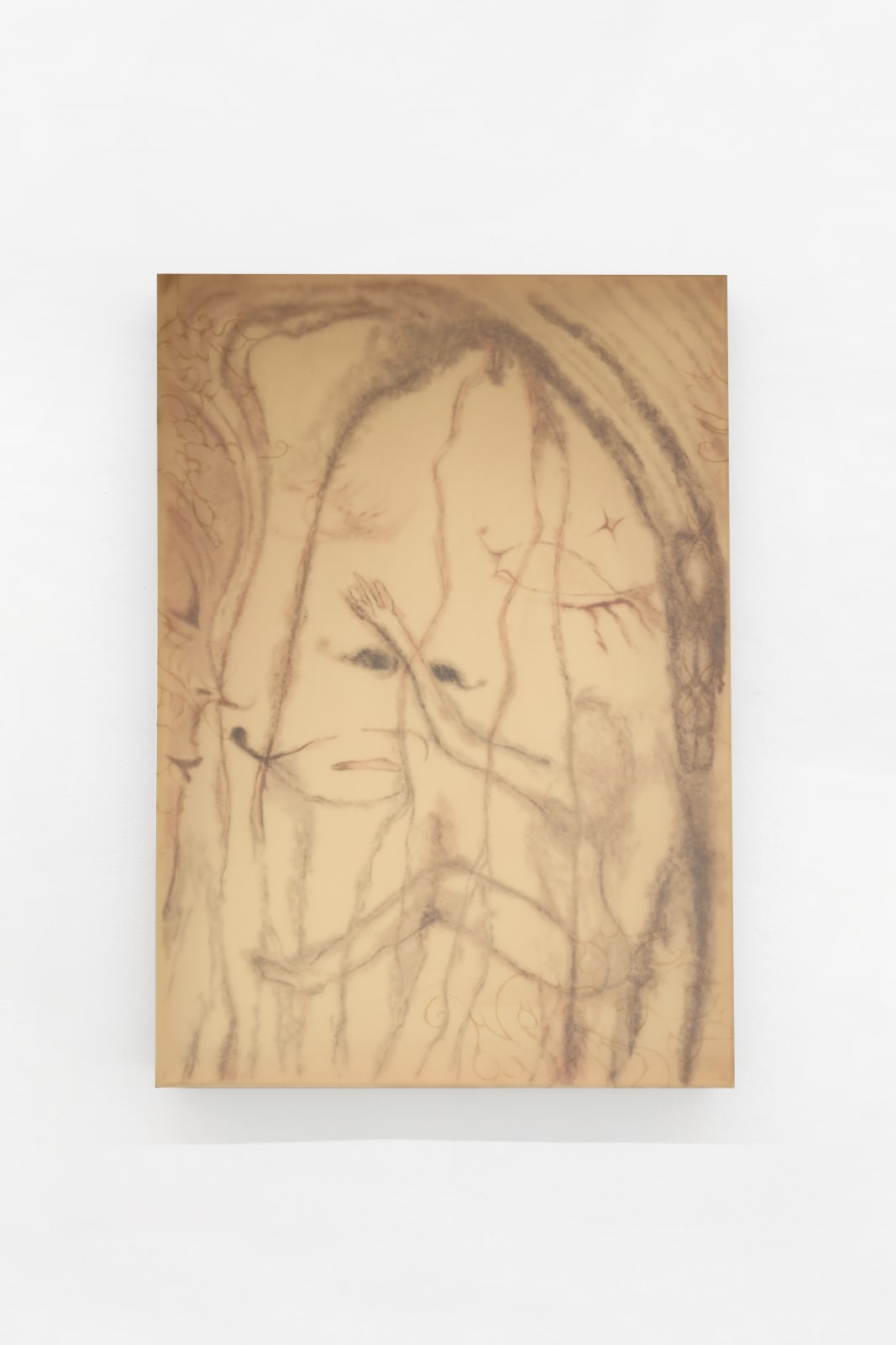 ASMA, Sangre oxidada y tétanos con cabello mojado, 2023