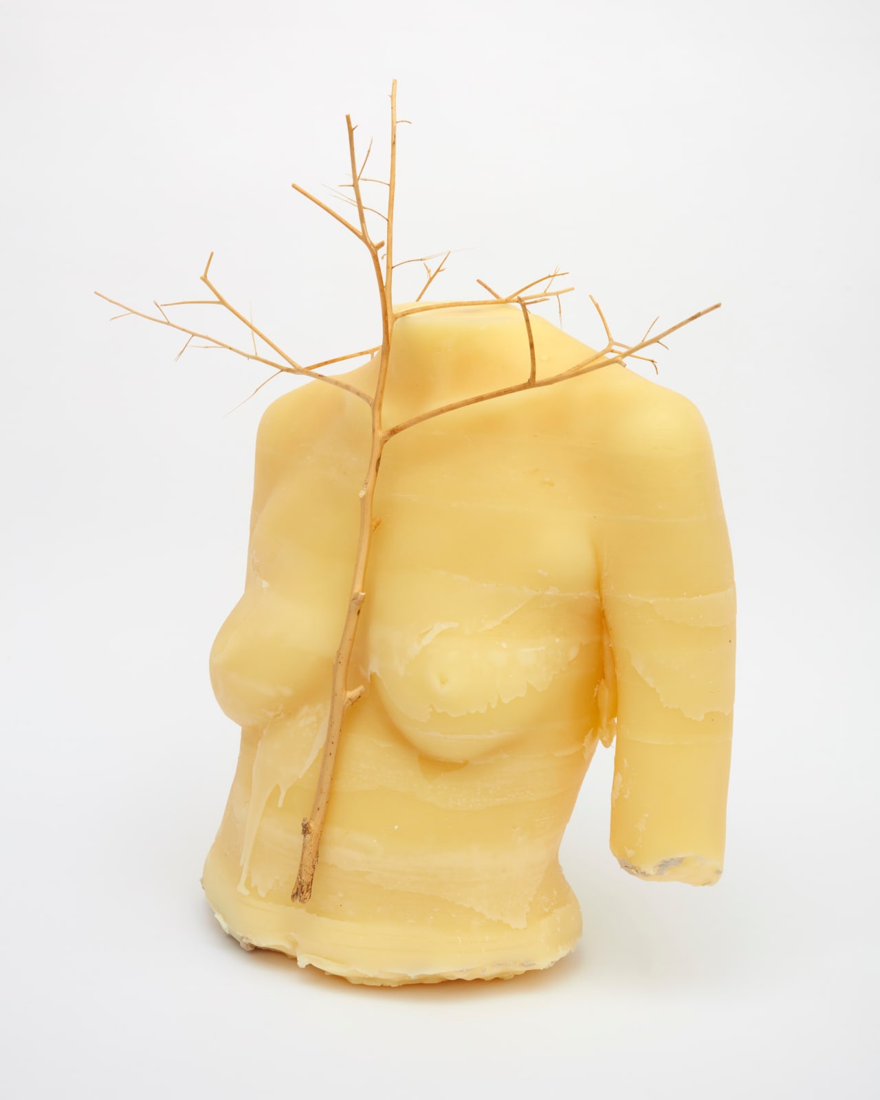 Kelly Akashi, Heirloom, 2021