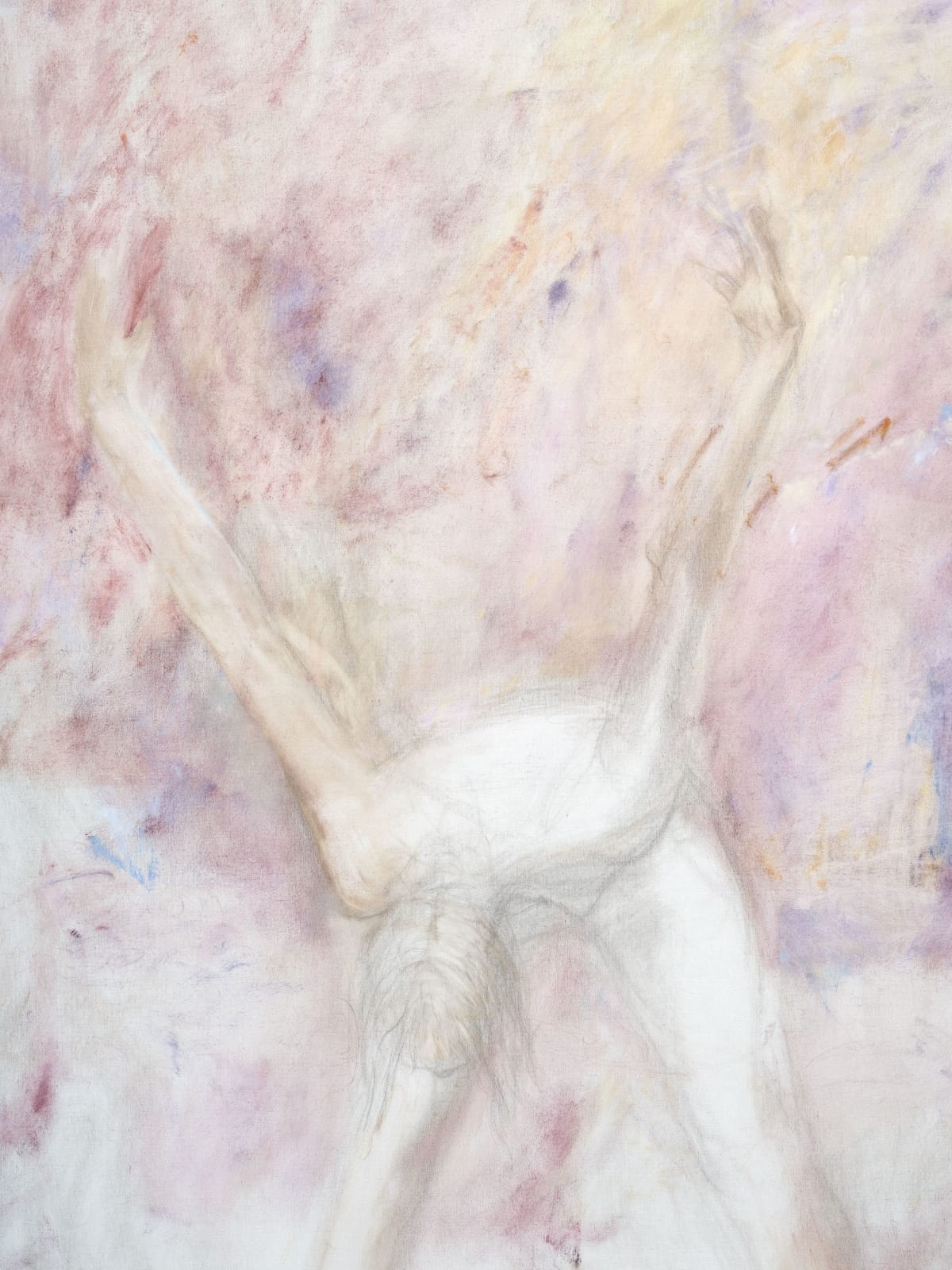 Willa Wasserman, X, 2022