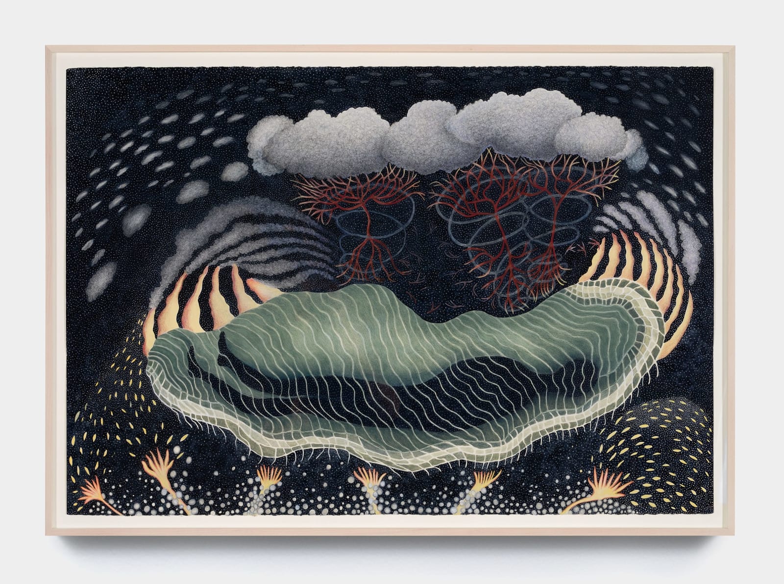 Ann Leda Shapiro, Tornado, 2023