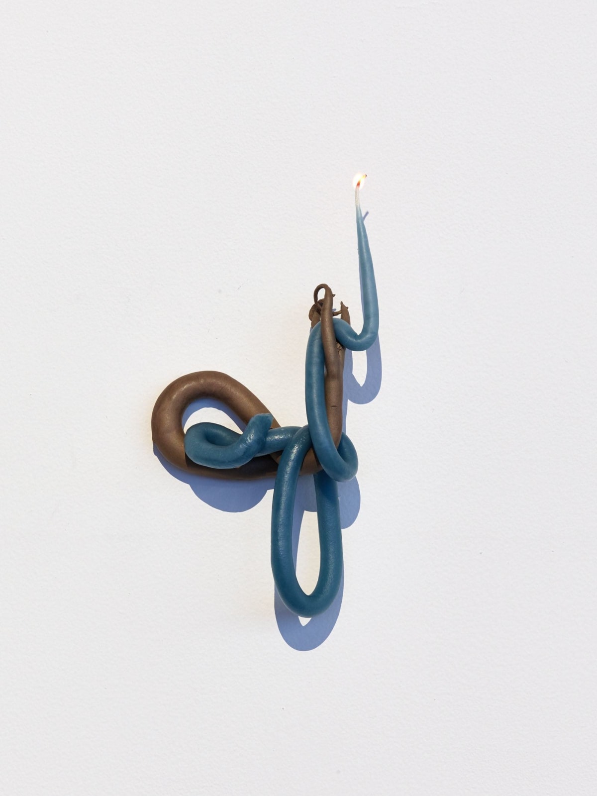 Kelly Akashi, Wall Candle (Tentacle), 2016