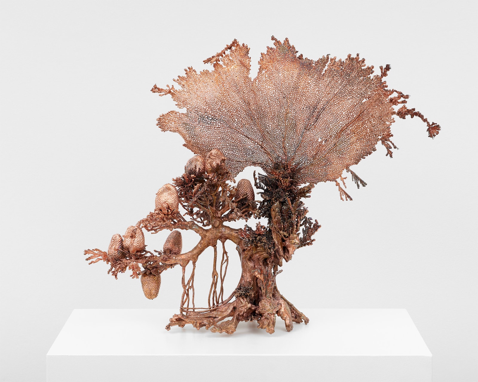 Max Hooper Schneider, Dendrite Bonsai (Reef), 2023