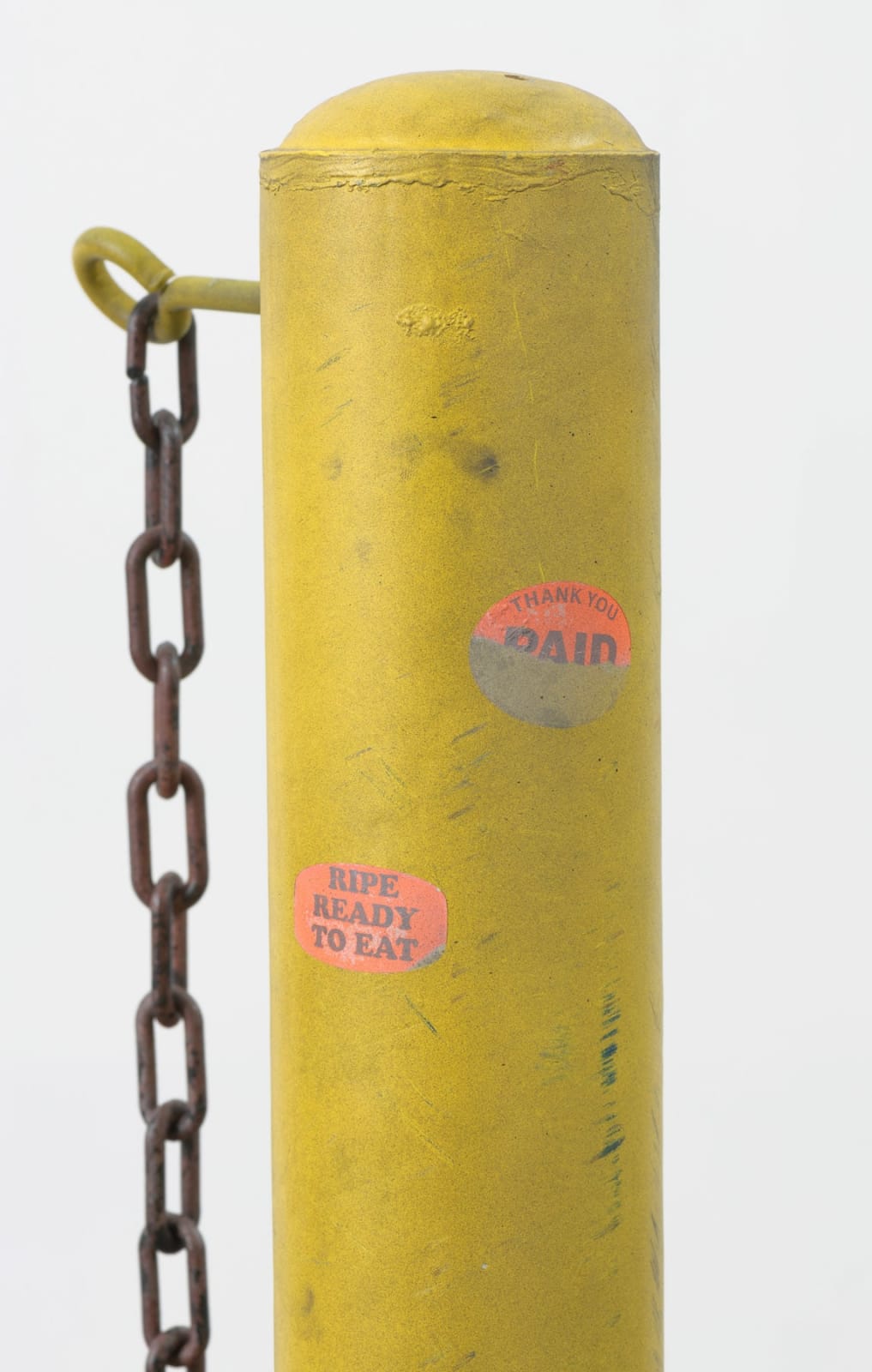 Sayre Gomez, District Manager, 2019