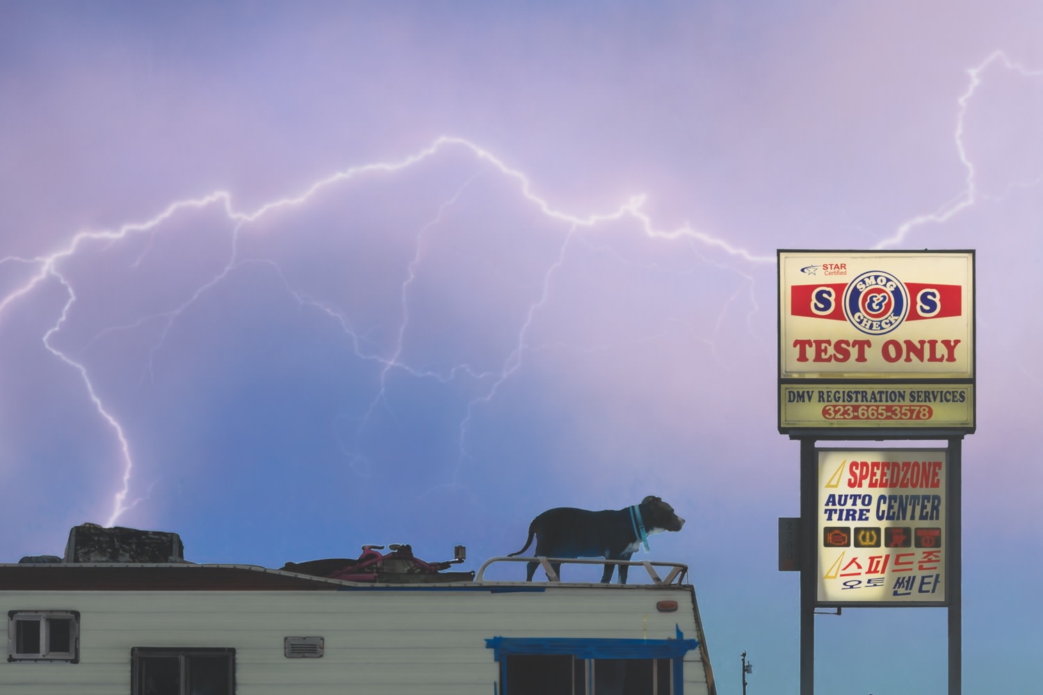 Sayre Gomez, Friday Night, 2021