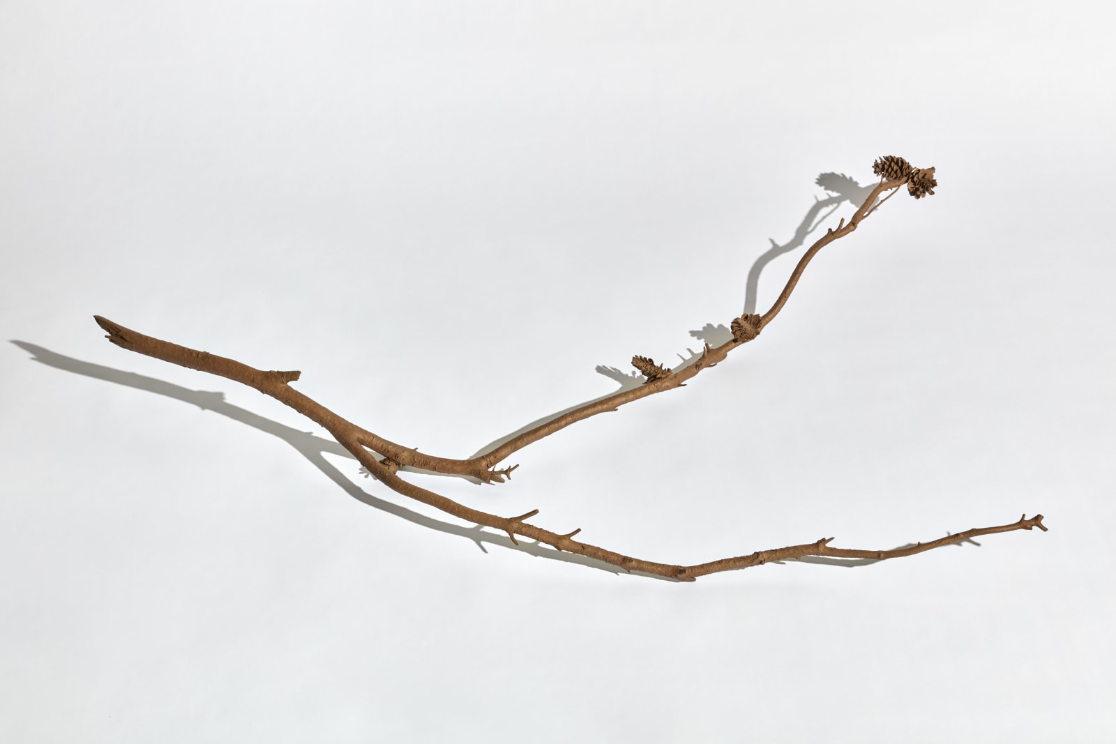 Kelly Akashi, Witness, 2021