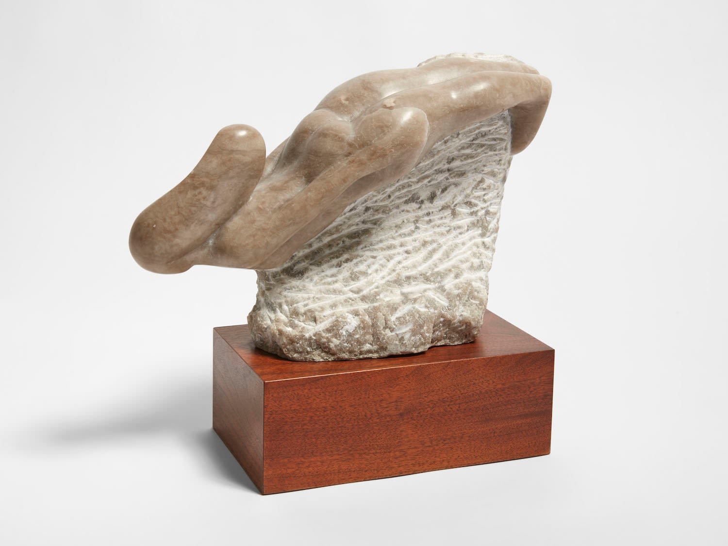 Kay Hofmann, Isla Mujeres, 2012