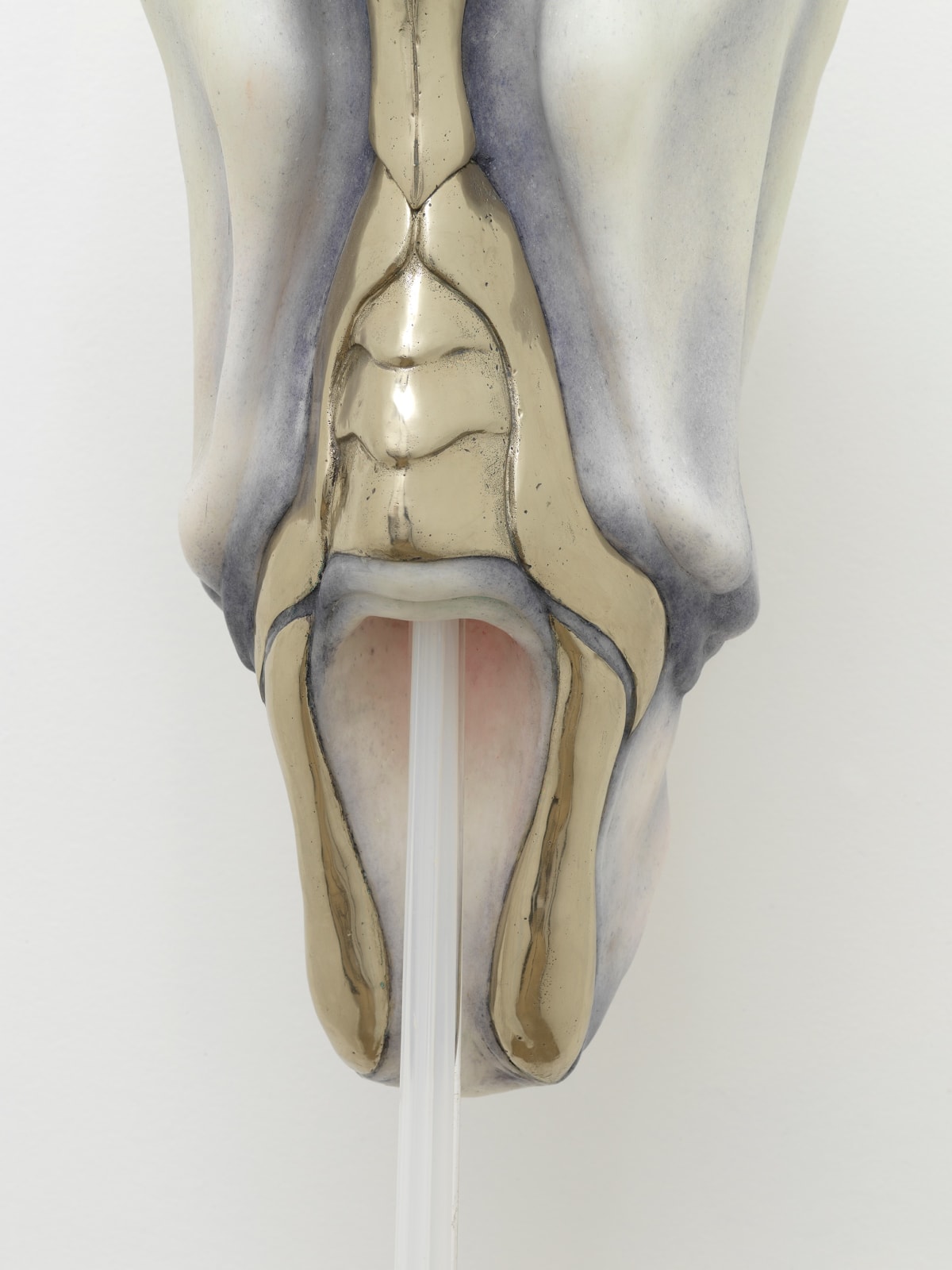 Ivana Bašić, I too had thousands of blinking cilia, while my belly, new and made for the ground was being reborn | Position II, (#2), 2019