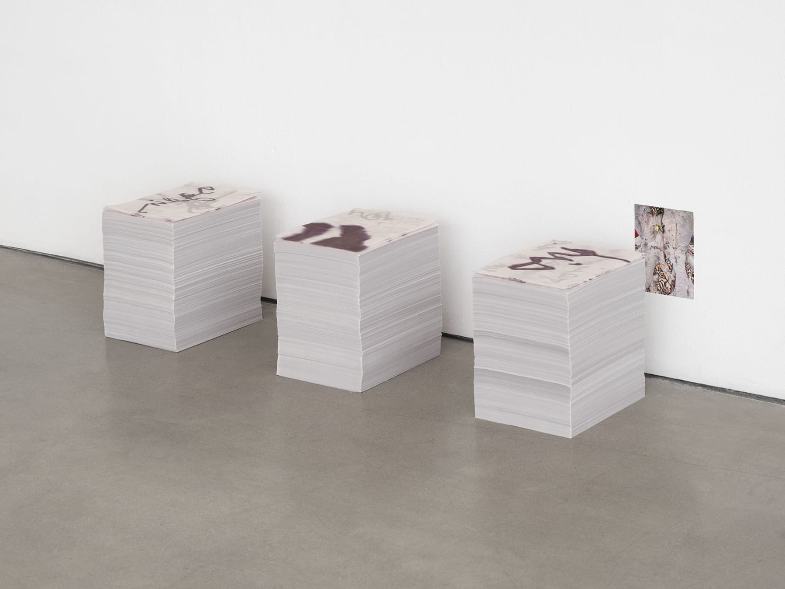 Mara Hassan, parliaments with tree on june 24, 2025, 2025