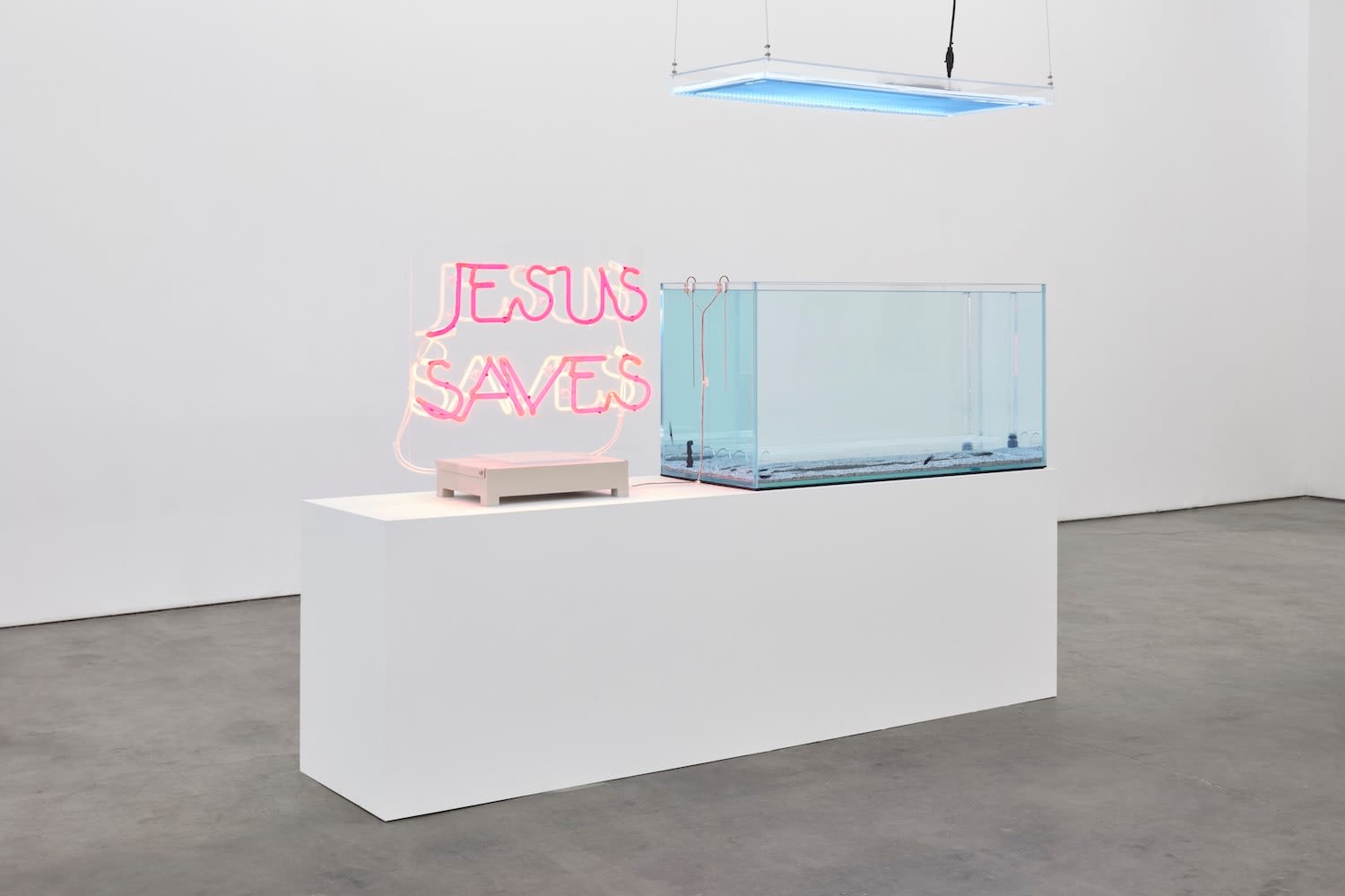 Max Hooper Schneider, DIALECTRIX: DIVISION APTERONOTUS (JESUS SAVES), 2020