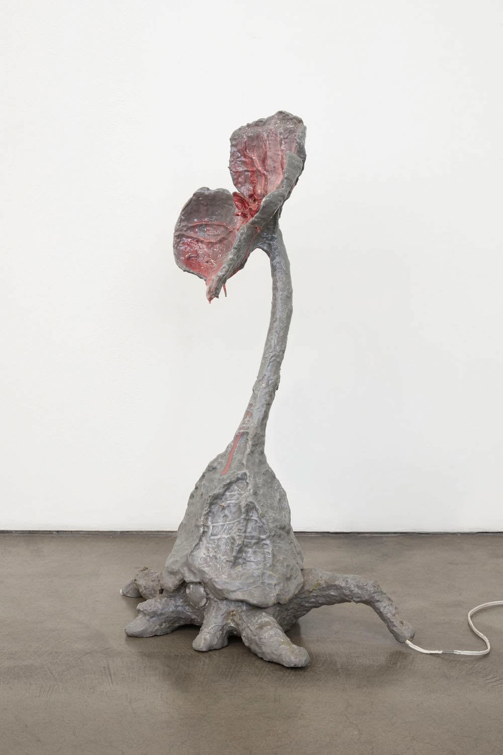 Candice Lin, Untitled (Abortifacient Flower), 2016