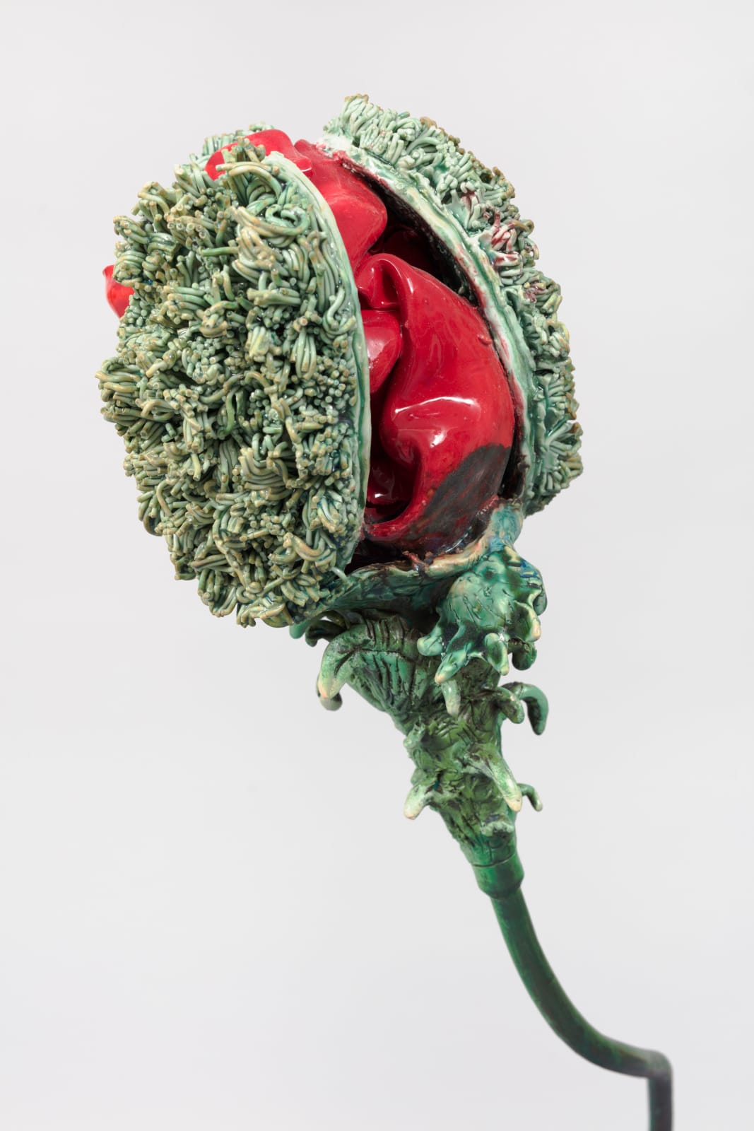 Rebecca Manson, Trampled Poppy, 2022