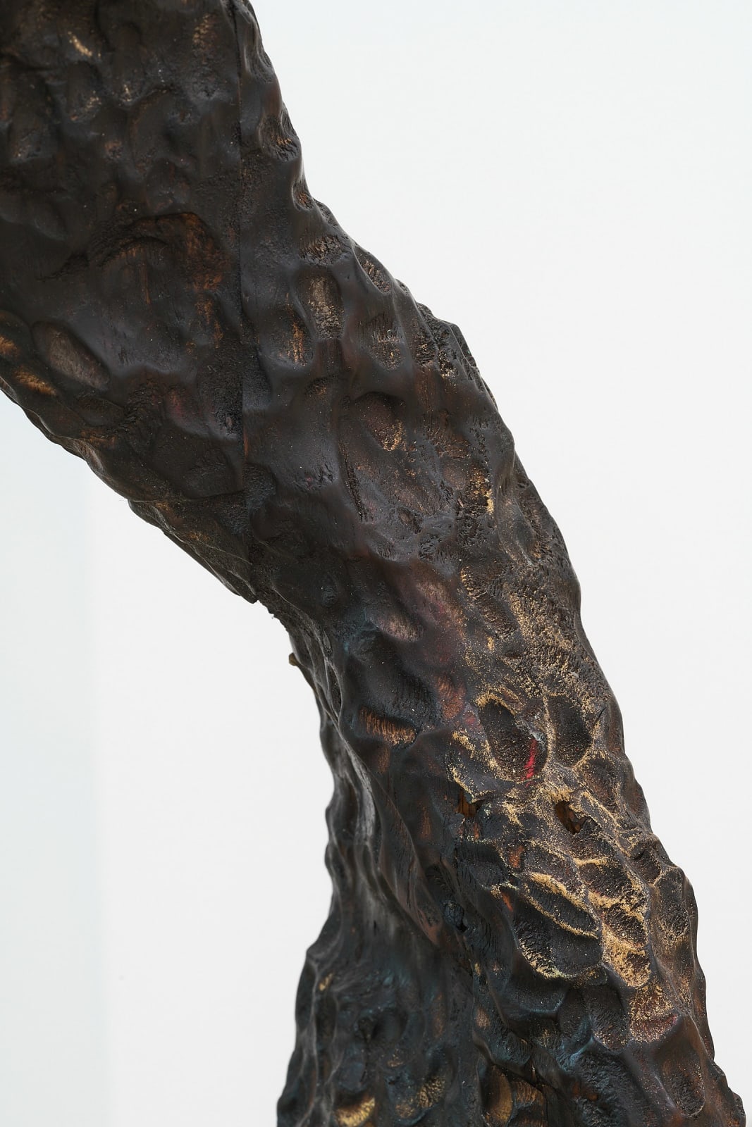 Anderson Borba, The standing son, 2024