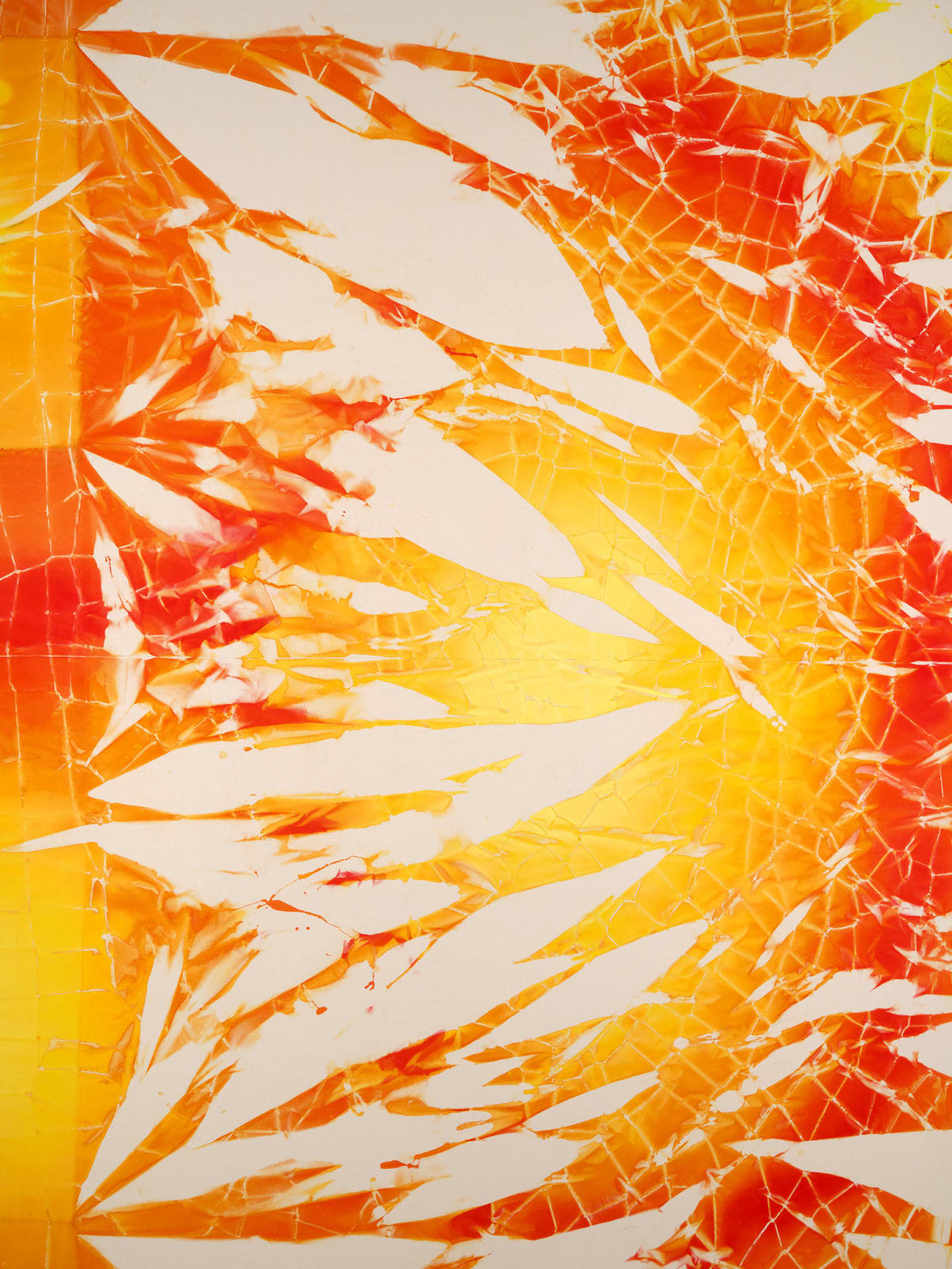 Maia Ruth Lee, B.B.SUN, 2024