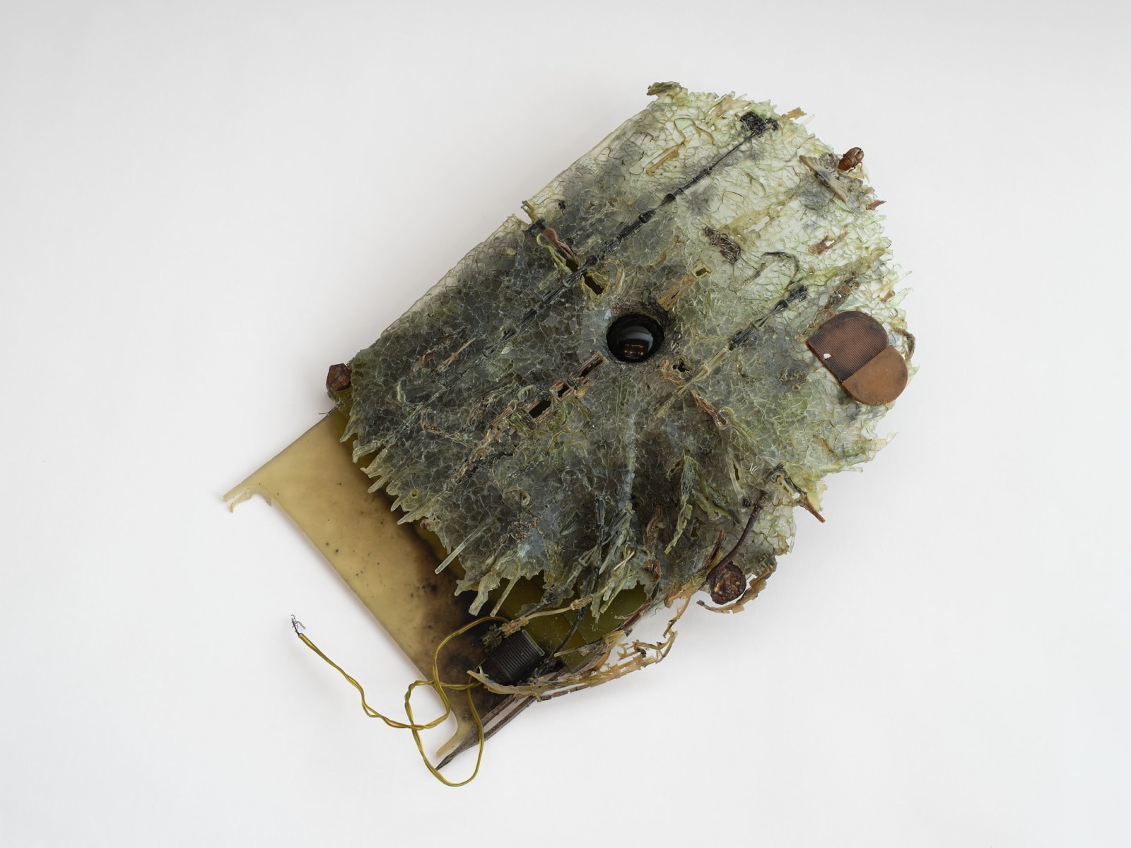 Hanna Umin, Septimus (Pitch), 2025