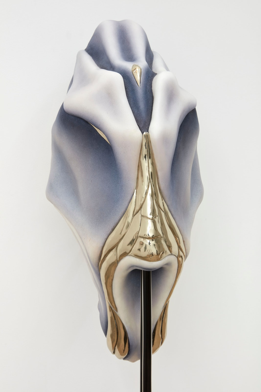 Ivana Bašić, I too had thousands of blinking cilia, while my belly, new and made for the ground was being reborn | Position III (#3), 2020