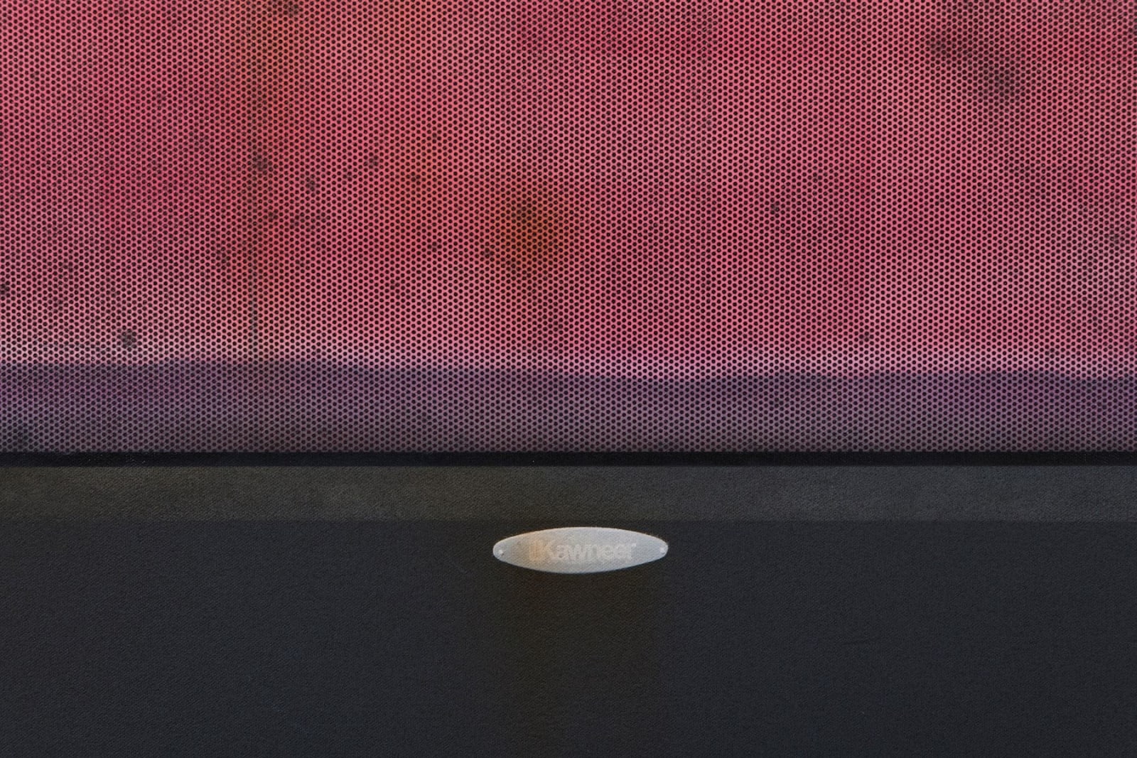 Sayre Gomez, Behind Door #2, 2017