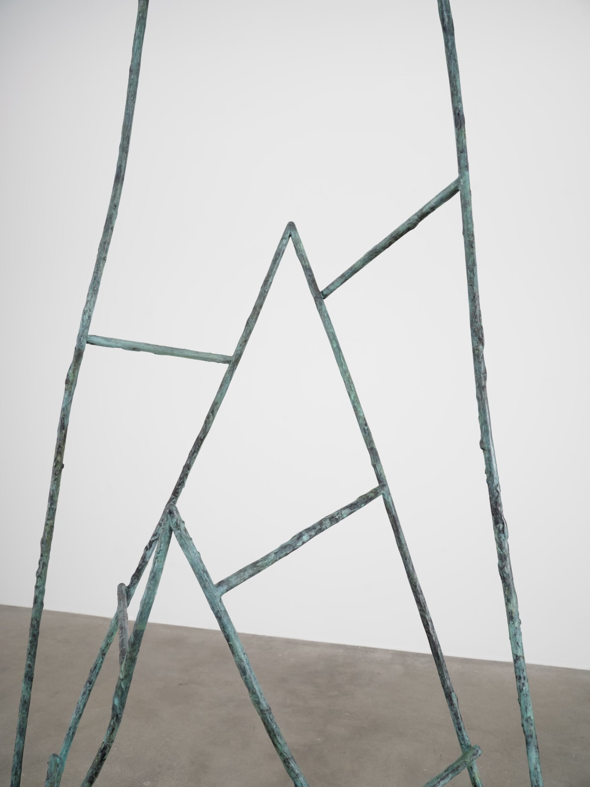 Camille Henrot, Amma's Door, 2014