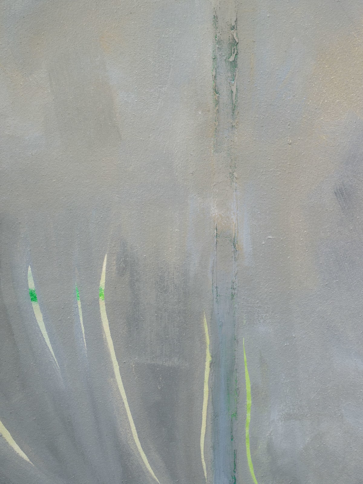 Salim Green, ricochet, 2025