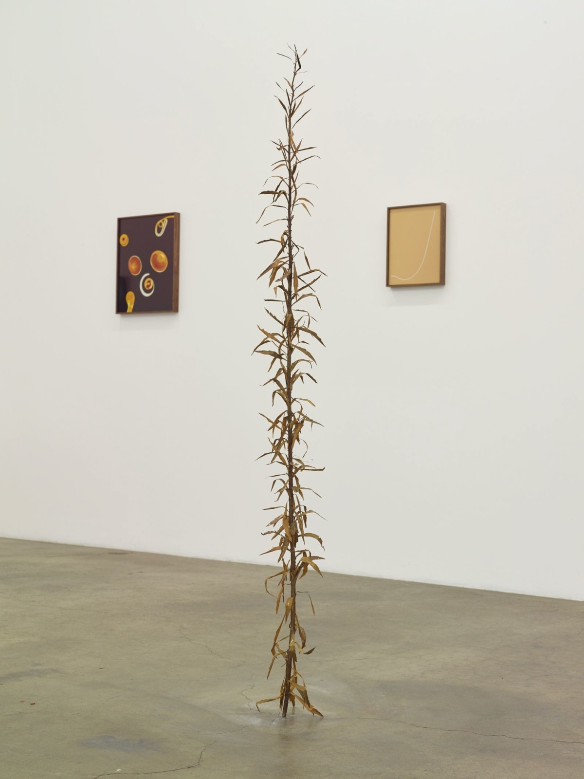 Kelly Akashi, Tall Weed, 2016