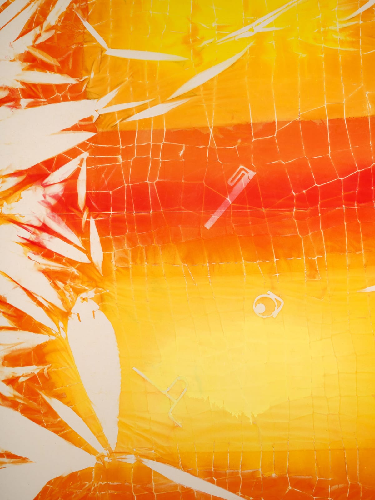 Maia Ruth Lee, B.B.SUN, 2024