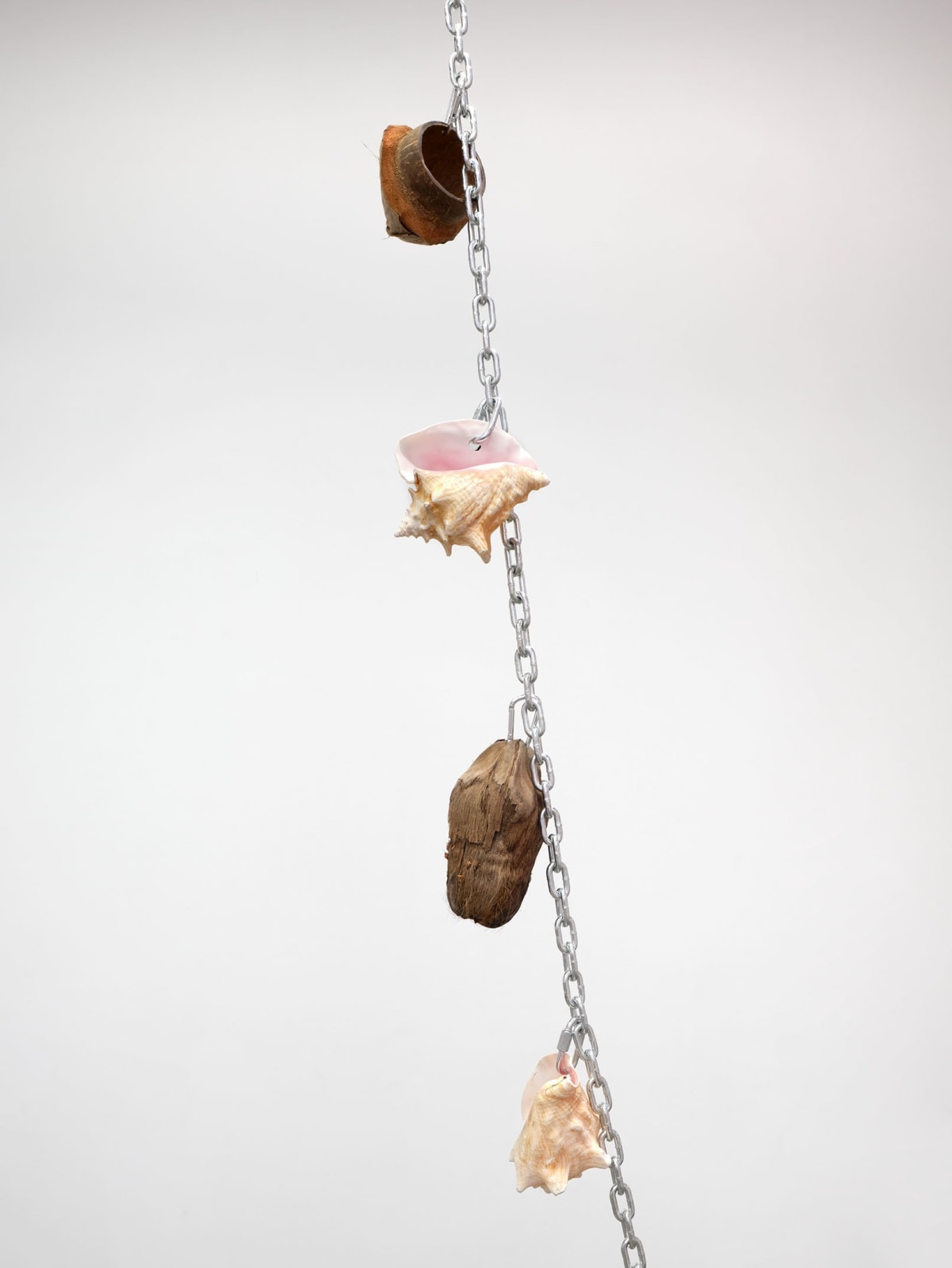 Bony Ramirez, Harvest #3 (Coconut), 2022