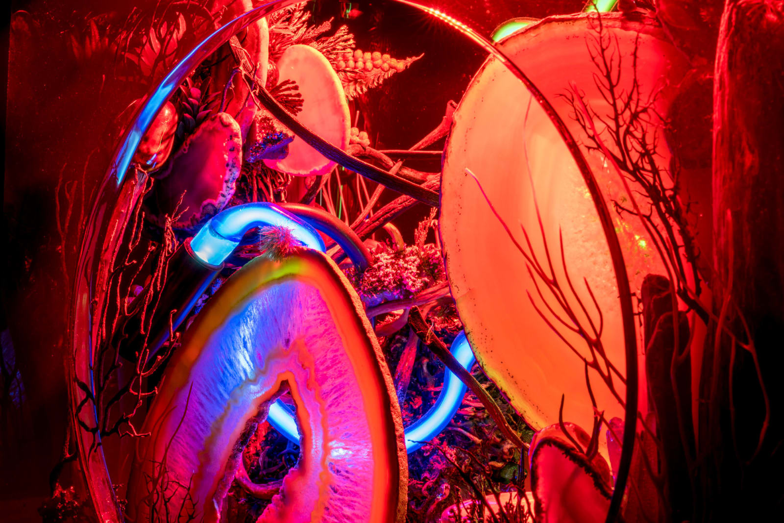 Max Hooper Schneider, ABYSSAL BELL, 2023