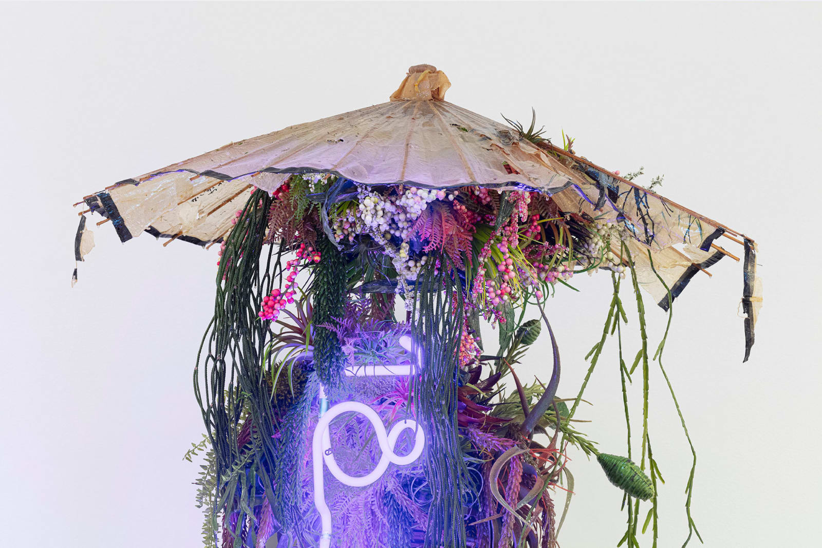 Max Hooper Schneider, 18 & Over, 2021