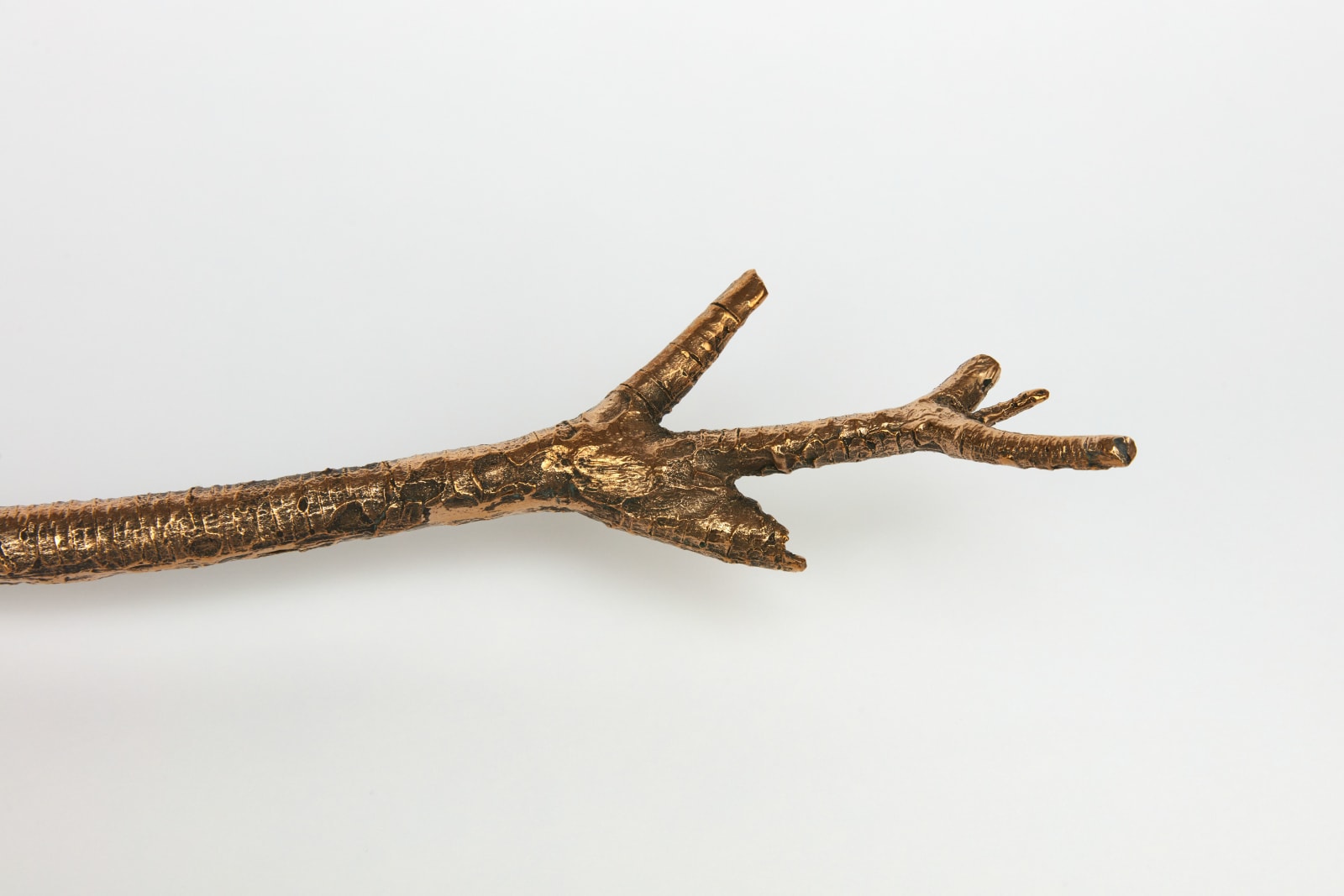 Kelly Akashi, Witness, 2021