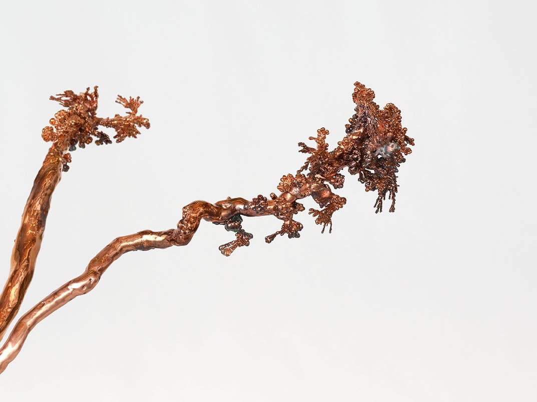 Max Hooper Schneider, Dendrite Bonsai (Lemon), 2023