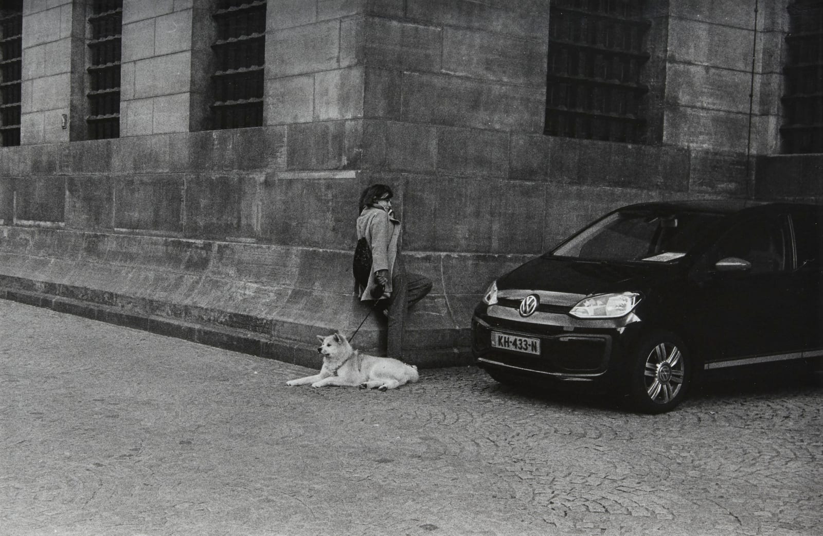 Em Rooney, Woman with Dog, 2020