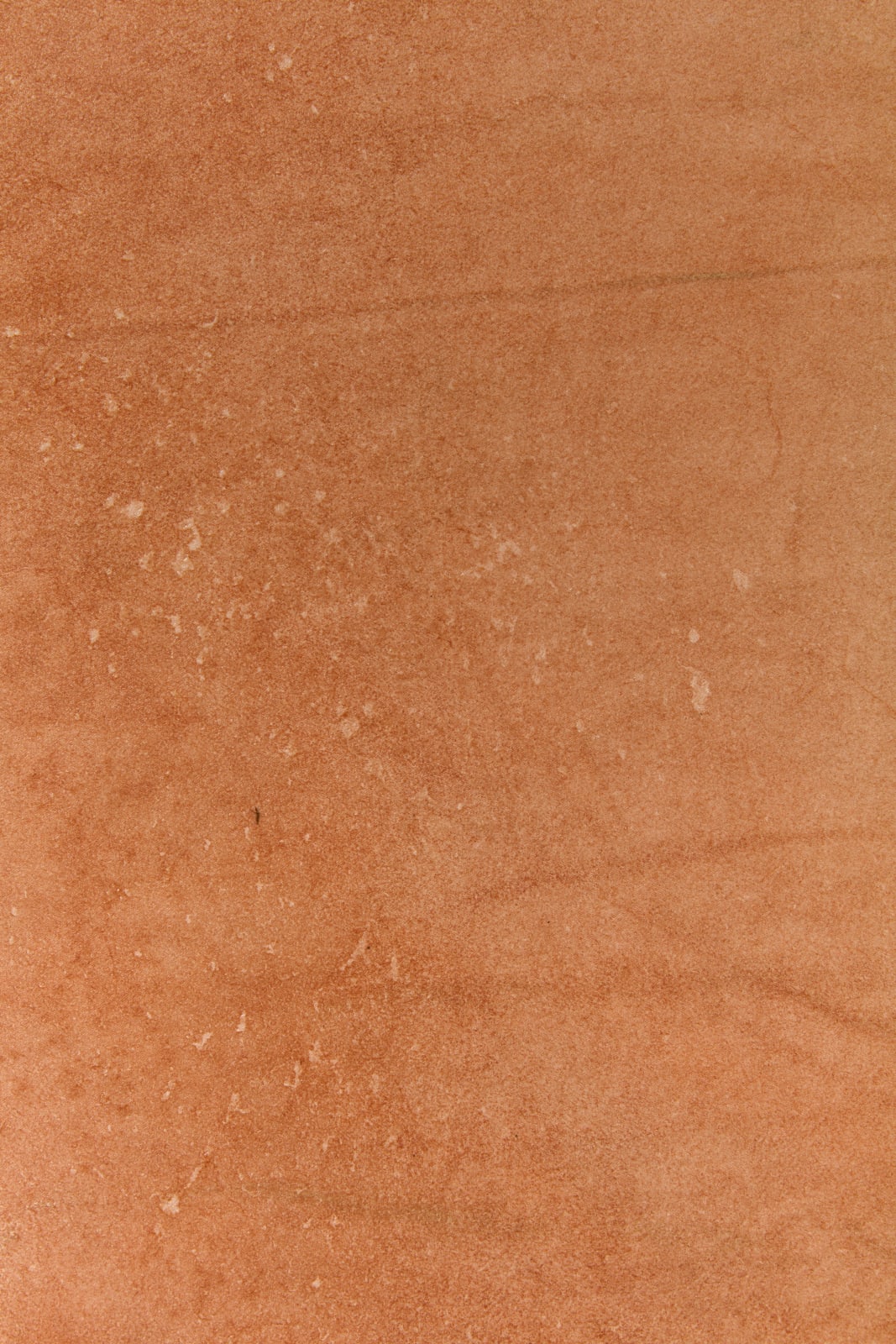 Rindon Johnson, Outside I have never been lonesome, Always a fence, a plank, an eyebrow in the ocean, A baby received in a house, anything tall is a tree, The sky rearranges itself in the desert, The sky rearrange itself in the water, The sky rearrange itself while I am in the sky, How lucky I thought I was to see the street lights turn on, Clouds like rows of planting, mistakes we make and agree to continue., 2021