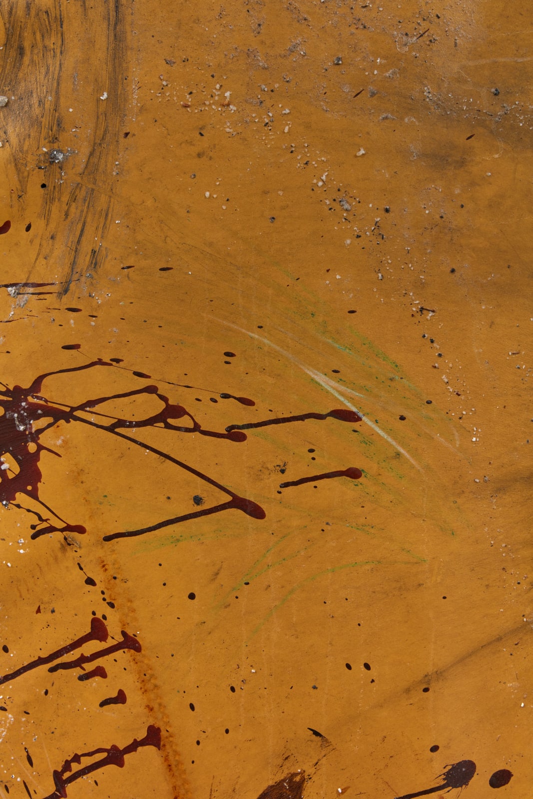 Rindon Johnson, This is the one about how piss can always be cleaned out of carpets., 2021