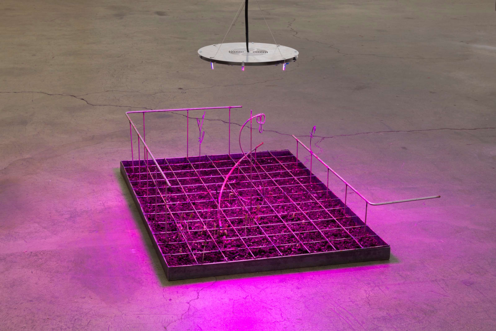 Florian Meisenberg, Department of Internal Affairs (The Taste of Metal in Water), 2018