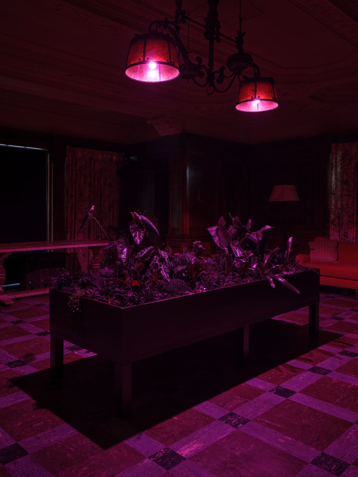 Max Hooper Schneider, Erotic Wellspring Within the Void (Black Plant Garden), 2024