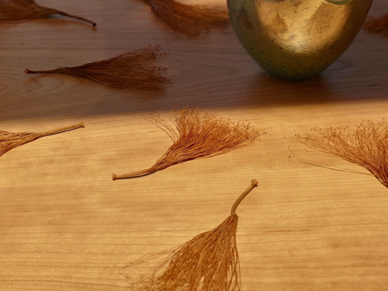 Kelly Akashi, Figure II, 2016