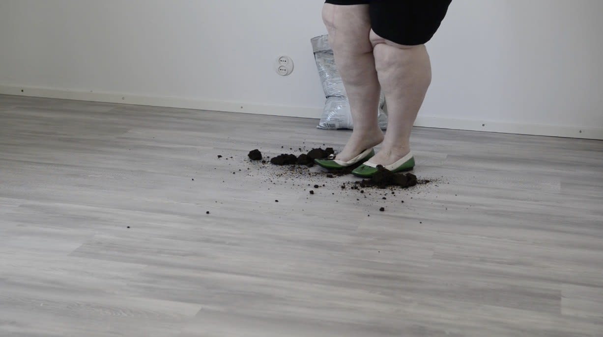 iiu Susiraja, Down to Earth, 2017